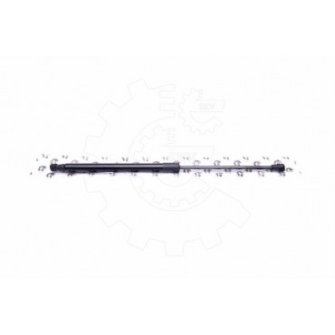 Vérin Hayon de Coffre Pour Renault Clio III 32062565 8200299546