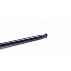 Vérin Hayon de Coffre Pour Renault Clio IV 7000210533D0 844308661R
