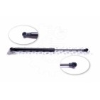 Vérin Hayon de Coffre Pour Renault Clio IV 7000210533D0 844308661R