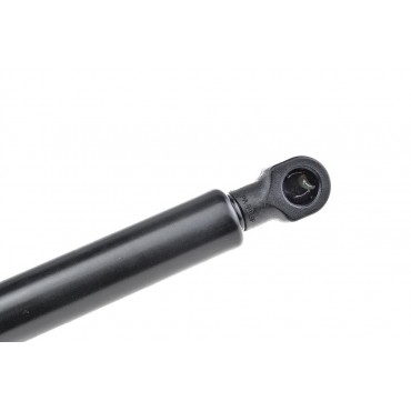 Vérin Hayon de Coffre Pour Renault Clio IV 844308661R