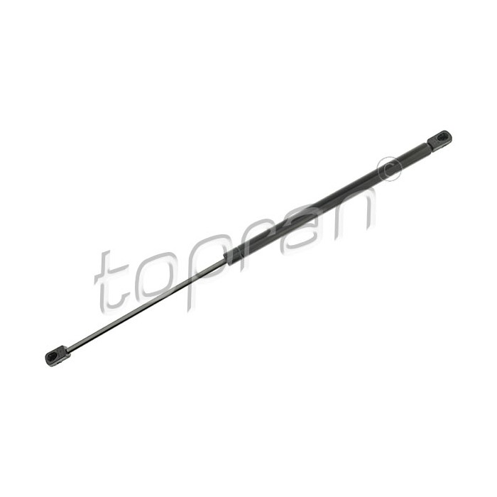 Vérin Hayon de Coffre Pour Renault Espace III 6025305941
