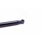 Vérin Hayon de Coffre Pour Renault Grand Scénic II 8200130187 8488352