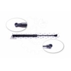 Vérin Hayon de Coffre Pour Renault Grand Scénic II 8200130187 8488352