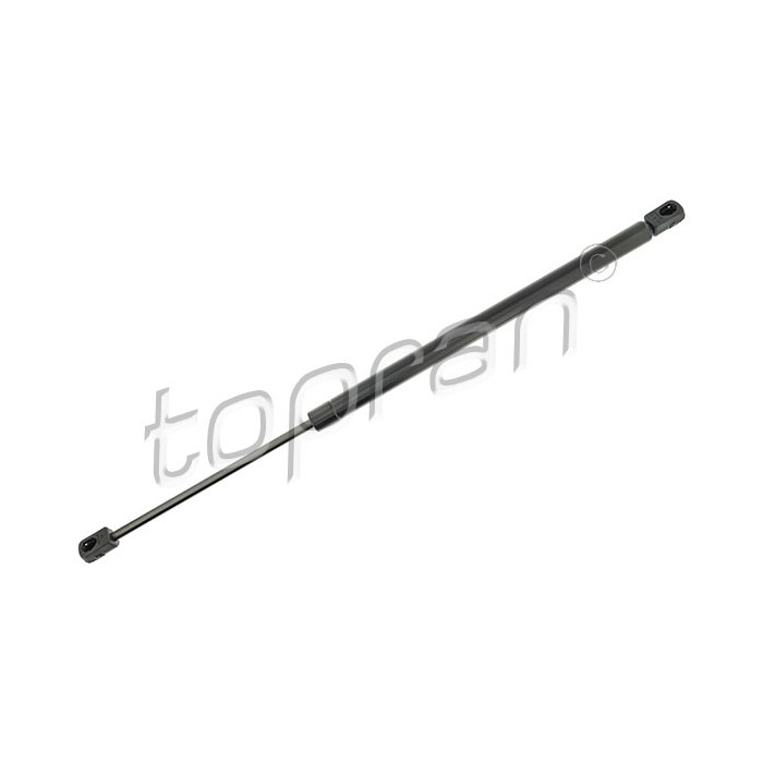 Vérin Hayon de Coffre Pour Renault Grand Scénic II 8200174571 8200377199