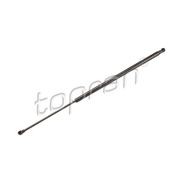 Vérin Hayon de Coffre Pour Renault Grand Scénic III 904510005R 904517337R