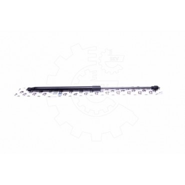 Vérin Hayon de Coffre Pour Renault Laguna II 8200000902