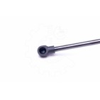 Vérin Hayon de Coffre Pour Renault Laguna II 8200000902