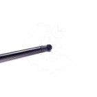 Vérin Hayon de Coffre Pour Renault Laguna II 7703024021 8200000896
