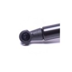 Vérin Hayon de Coffre Pour Renault Laguna II 8200000903