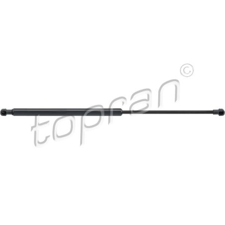 Vérin Hayon de Coffre Pour Renault Laguna III 844300001R