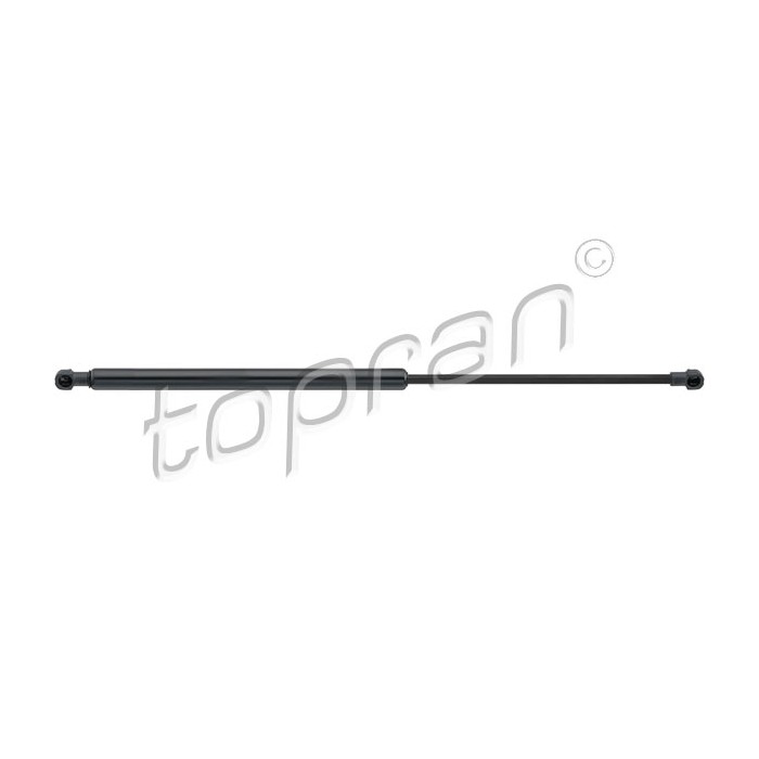 Vérin Hayon de Coffre Pour Renault Laguna III 844300001R