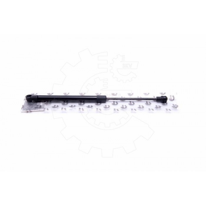Vérin Hayon de Coffre Pour Renault Laguna III 51051803 904600001R