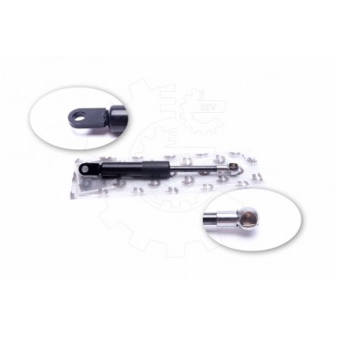 Vérin Hayon de Coffre Pour Renault Megane I 7700838487