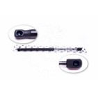 Vérin Hayon de Coffre Pour Renault Megane II 8200051750