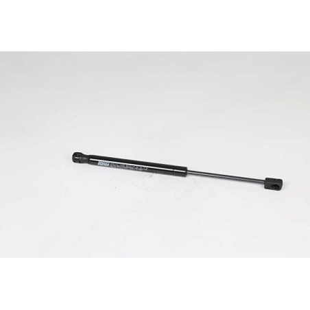 Vérin Hayon de Coffre Pour Renault Megane II 8200119497