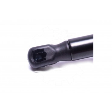 Vérin Hayon de Coffre Pour Renault Megane II 8200119498