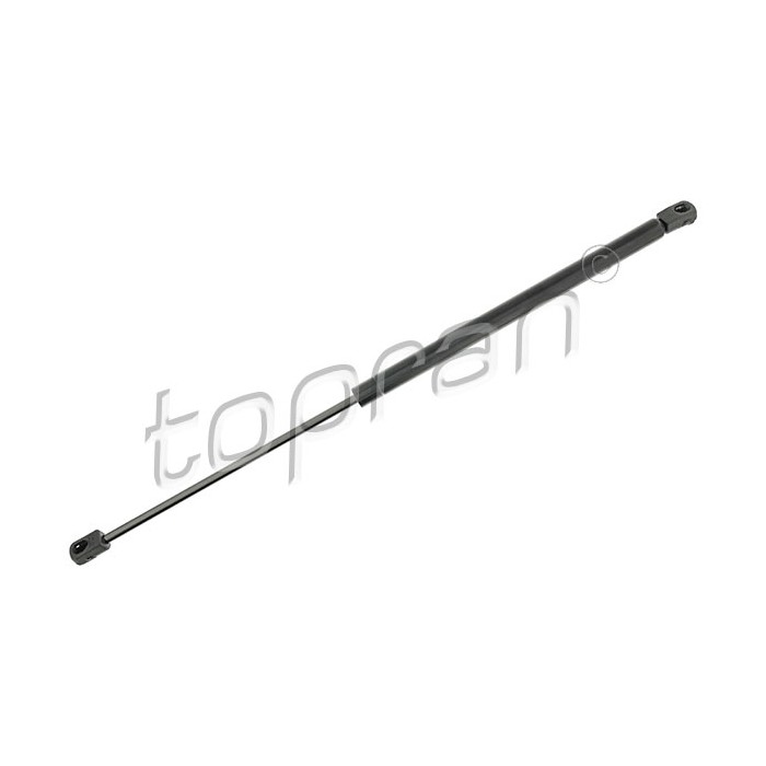 Vérin Hayon de Coffre Pour Renault Megane II 8200119498