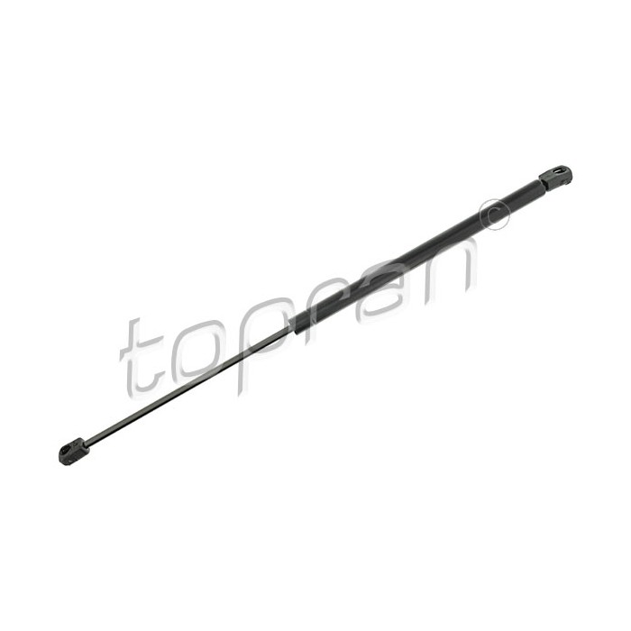 Vérin Hayon de Coffre Pour Renault Megane II 8200212598