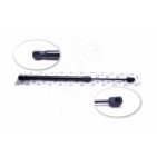 Vérin Hayon de Coffre Pour Renault Megane III 904510001R