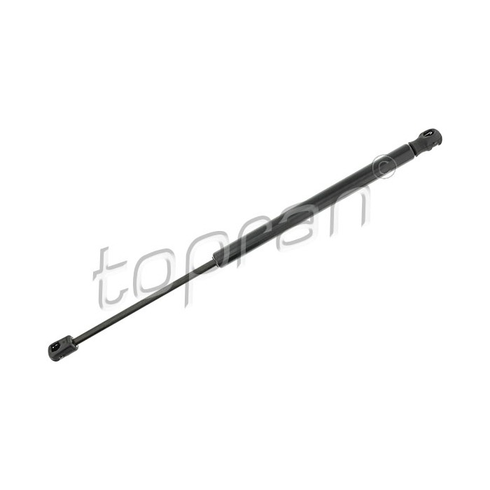 Vérin Hayon de Coffre Pour Renault Megane III 904510001R