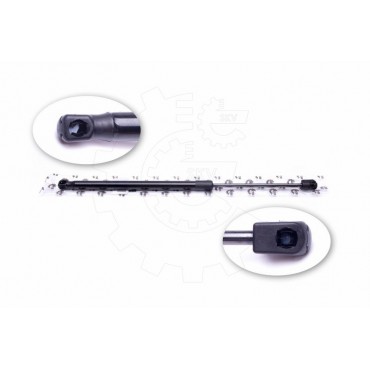 Vérin Hayon de Coffre Pour Renault Megane III 844300009R