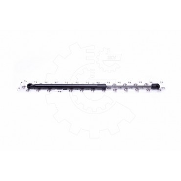 Vérin Hayon de Coffre Pour Renault Megane III 844300009R