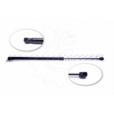 Vérin Hayon de Coffre Pour Renault Megane III 904510002R