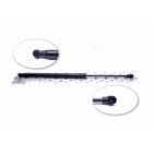 Vérin Hayon de Coffre Pour Renault Megane Scenic Scénic I 7700430022