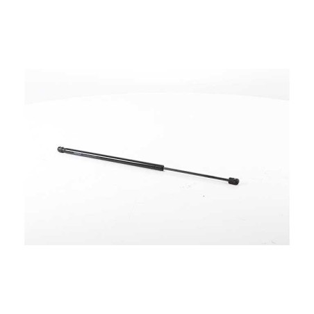 Vérin Hayon de Coffre Pour Renault Megane Scenic Scénic I 7700434465