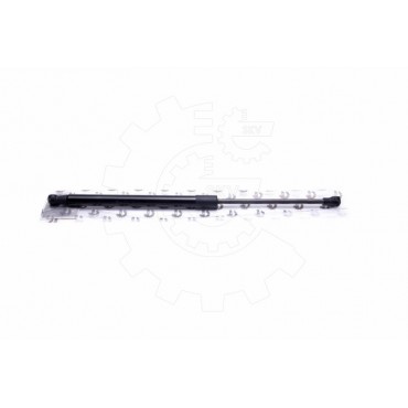 Vérin Hayon de Coffre Pour Renault Megane Scenic Scénic I 7700354322