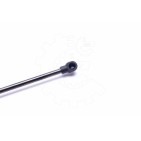 Vérin Hayon de Coffre Pour Renault Megane Scenic Scénic I 7700354322