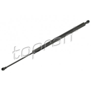 Vérin Hayon de Coffre Pour Renault Modus 8200219322