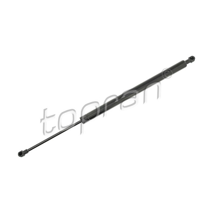 Vérin Hayon de Coffre Pour Renault Modus 8200219322