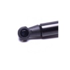 Vérin Hayon de Coffre Pour Renault Modus 8200219322