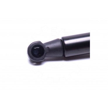 Vérin Hayon de Coffre Pour Renault Modus 8200219322