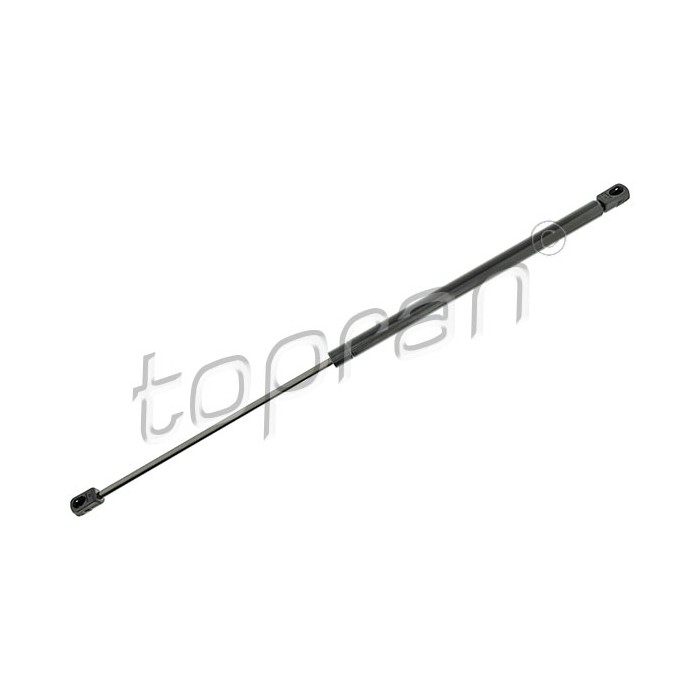 Vérin Hayon de Coffre Pour Renault Scénic I 7700434465