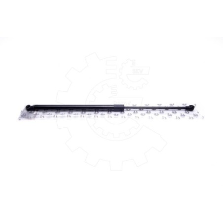Vérin Hayon de Coffre Pour Renault Scénic III 7000510523B0 904500004R