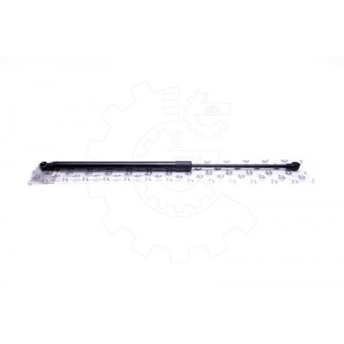 Vérin Hayon de Coffre Pour Renault Scénic III 7000510523B0 904500004R