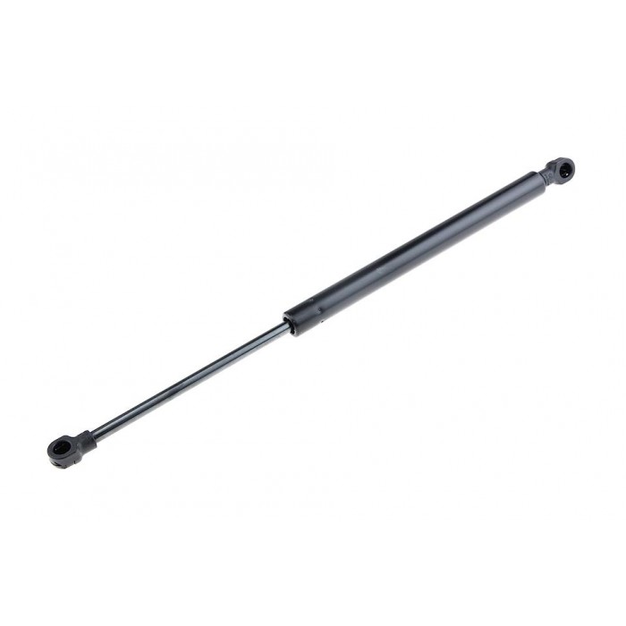 Vérin Hayon de Coffre Pour Renault Twingo II 8200385560