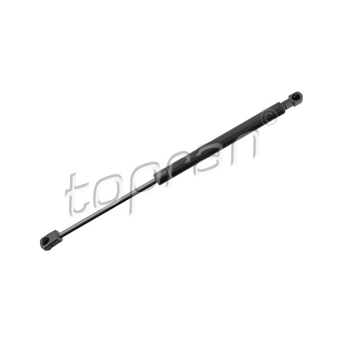 Vérin Hayon de Coffre Pour Renault Twingo II 8200385560