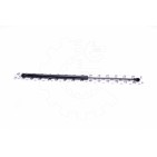Vérin Hayon de Coffre Pour Seat Ibiza IV 6J4827550 6J4827550B 6J4827550C