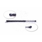 Vérin Hayon de Coffre Pour Seat Ibiza IV 6J3827550 6J3827550A