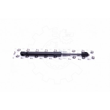 Vérin Hayon de Coffre Pour Seat Toledo II 1M5827550 1M5827550A 1M5827550B