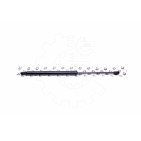 Vérin Hayon de Coffre Pour Toyota Auris 6895002090 6895002091 6896002080