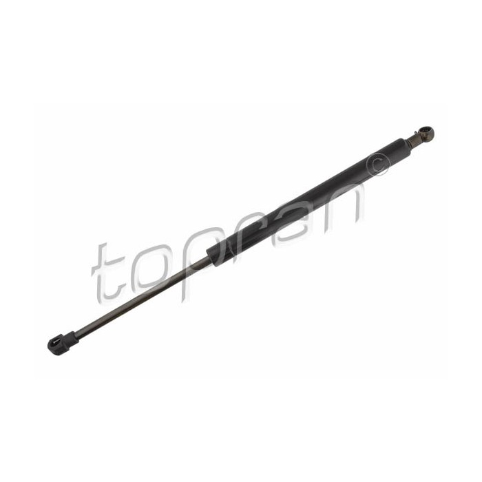 Vérin Hayon de Coffre Pour Toyota Auris 6895002130 6895002180 6896002120