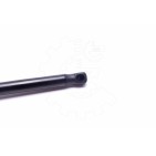 Vérin Hayon de Coffre Pour Toyota Aygo Camionnette - 3/5 Portes 689500H010