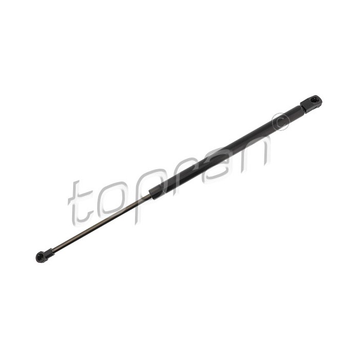 Vérin Hayon de Coffre Pour Toyota Corolla 6896002042 689600W170 689600W171