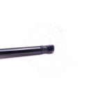 Vérin Hayon de Coffre Pour Toyota Corolla 689500W101 689600W091