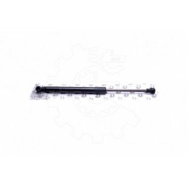 Vérin Hayon de Coffre Pour Toyota IQ 689500W580 689600W570