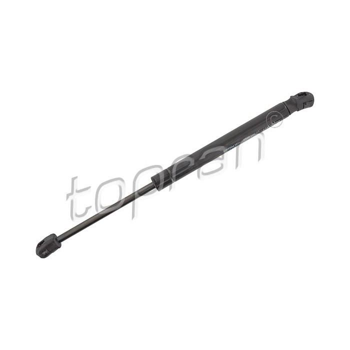 Vérin Hayon de Coffre Pour Toyota IQ 689600W580